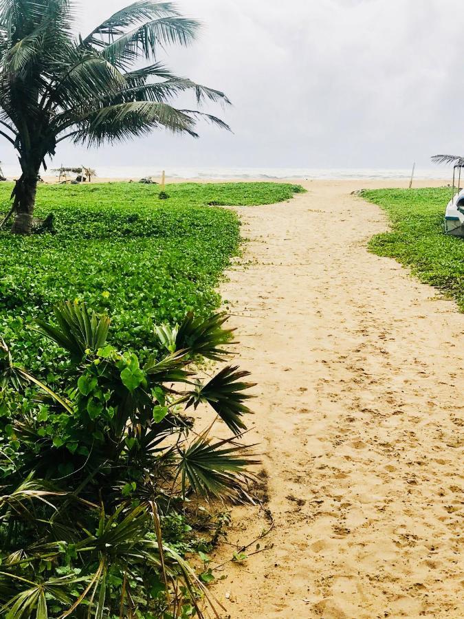 Sea Beach Resort نيجومبو المظهر الخارجي الصورة