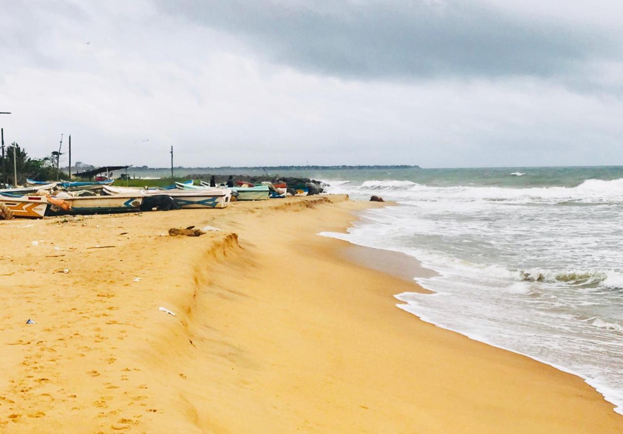 Sea Beach Resort نيجومبو المظهر الخارجي الصورة